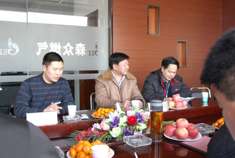 林口县政府与珠海昊新整体家居解决方案有限公司燃气项目洽谈.png